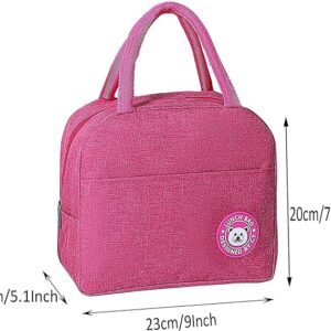Jayci Mart Insulated Travel Lunch/Tiffin/Storage Bag for Office, College & School (Pink)